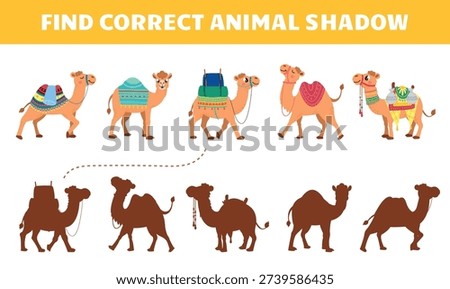 Find correct camel shadow kids play. Toddler educational game with cartoon funny camels. Desert animals with carpets and shadows, vector template