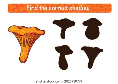 Finden Sie das richtige Chanterelle Schattenpädagogik für Kinder. Schattenanpassung für Kinder mit essbaren Pilzen. Vorschulrätsel. Lehrblatt. FIand the right silhouette game