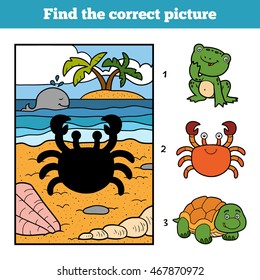 Find the correct picture, education game for children. Little crab and background