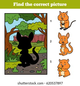 Find the correct picture, education game for children. Kangaroo and background