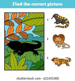 Find the correct picture, education game for children. Xenosaurus and background