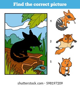 Find the correct picture, game for children. Numbat and background