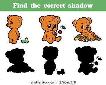 Find the correct shadow (bears)