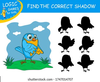 Find the correct shadow the Bird. Cute cartoon parrot on colorful background. Educational matching game with fun character. Logic Games for Kids. Learnig card for child kindergarten or school.