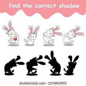 encontrar la sombra correcta de los personajes de los felinos conejitas