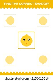 Find the correct shadow Chicken face. Worksheet for kids