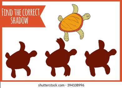 Find the correct shadow. Child activity book. Games for kids. Hand drawn tortoise.