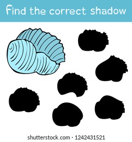 Find the correct shadow, children`s educational game, silhouette of seashell