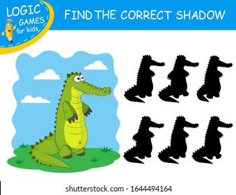 Find the correct shadow the cute cartoon Alligator on colorful background. Educational matching game for children with fun character. Logic Games for Kids. Learning card for child preschool or school.