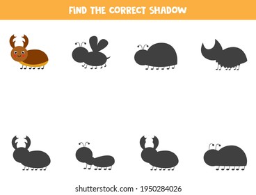 Find the correct shadow of cute stag beetle. Educational logical game for kids.