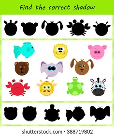 Find the correct shadow: different faces of animals