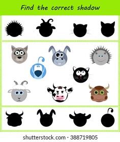 Find the correct shadow: different faces of animals