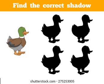 Find The Correct Shadow (duck)