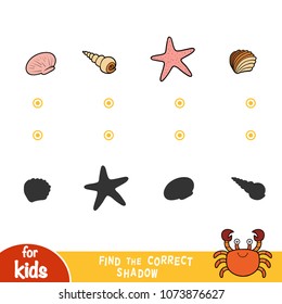 Find the correct shadow, education game for children. Set of seashells