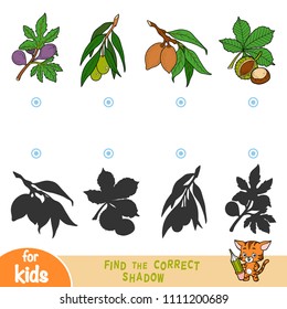 Find the correct shadow, education game for children, set of leaves