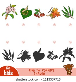 Find the correct shadow, education game for children, set of leaves
