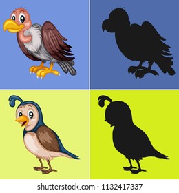 Find the Correct Shadow, Education Game for Children. Bird collection with Vulture and Quail Vector Illustrations
