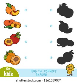 Find the correct shadow, education game for children. Cartoon set of fruits