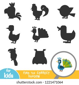 Find the correct shadow, education game for children, Peacock