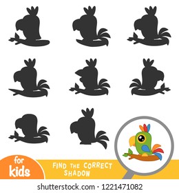 Find the correct shadow, education game for children, Parrot