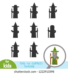 Find the correct shadow, education game for children, Wizard