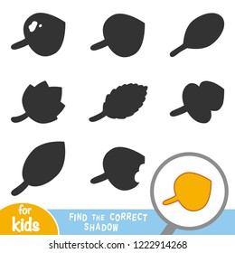 Find the correct shadow, education game for children, Autumn leafs