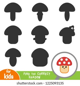 Find the correct shadow, education game for children, Mushroom