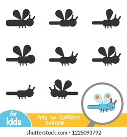 Find the correct shadow, education game for children, Dragonfly