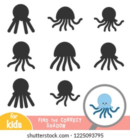 Find the correct shadow, education game for children, Octopus