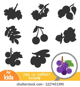 Find the correct shadow, education game for children, Grapes