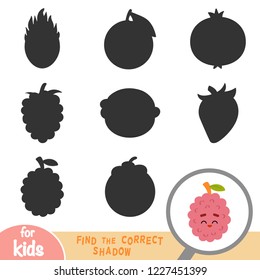 Find the correct shadow, education game for children, Lychee