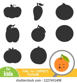 Find the correct shadow, education game for children, Mandarin