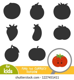 Find the correct shadow, education game for children, Tomato