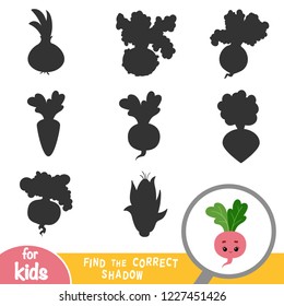 Find the correct shadow, education game for children, Radish