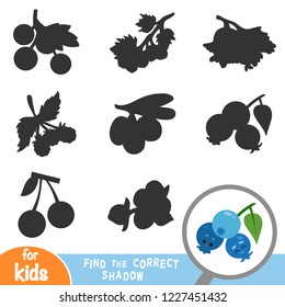 Find the correct shadow, education game for children, Blueberries