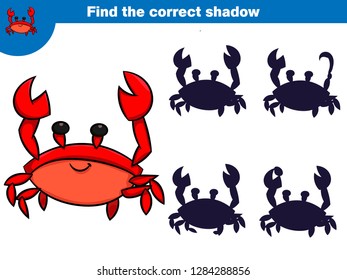 Find the correct shadow, education game for children. Set of cartoon pirate characters. Vector illustration.