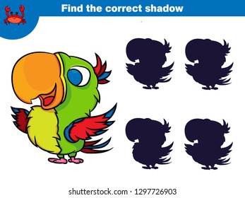 Find the correct shadow, education game for children. Set of cartoon pirate characters. Vector illustration.