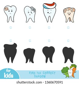 Find the correct shadow, education game for children, teeth set