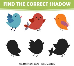 Find the correct shadow, education game for children. Birds
