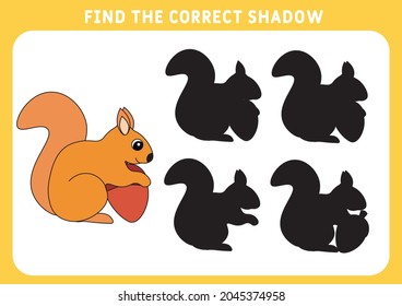 Find the correct shadow, education game for children.  squirrel. Vector illustration.
