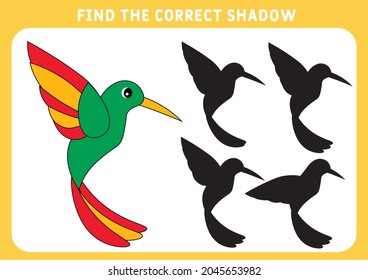 Find the correct shadow, education game for children.  hummingbird. Vector illustration.