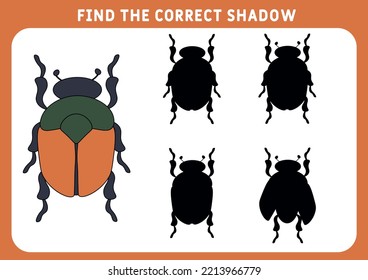 Find the correct shadow, education game for children.  Beetles  scarab. Insect. Beetle. Forest life. Seamless pattern with Bug insect, Beetles. game for kids. Preschool worksheet. Vector illustration.