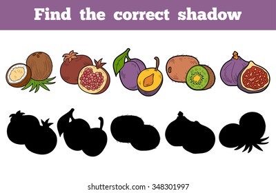 Find the correct shadow, education game for children: fruits
