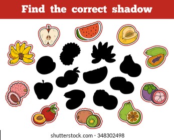 Find the correct shadow, education game for children: fruits
