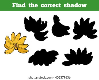 Find the correct shadow, education game for children. Vector color set of bananas