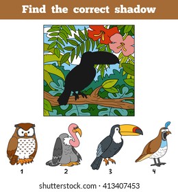 Find the correct shadow, education game for children. Find bird by shadow