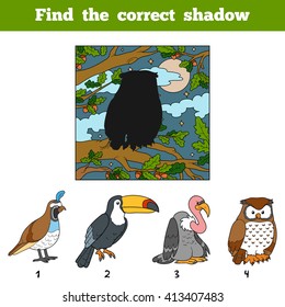 Find the correct shadow, education game for children. Find bird by shadow
