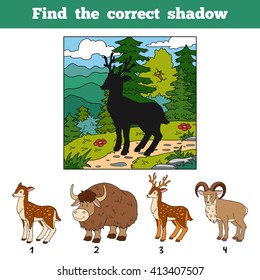 Find the correct shadow, education game for children. Find animal by shadow