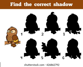 Find the correct shadow, education game for children. Little owl