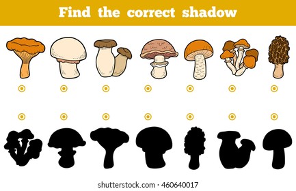 Find the correct shadow, education game for children. Set of edible mushrooms. 